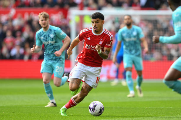 布鲁诺以出 布鲁诺以出