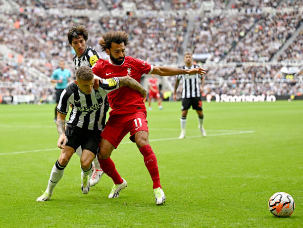 固和提升球 固和提升球