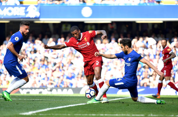 巴西本地的 巴西本地的